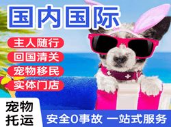 德宏芒市航空空运国际宠物托运 【国